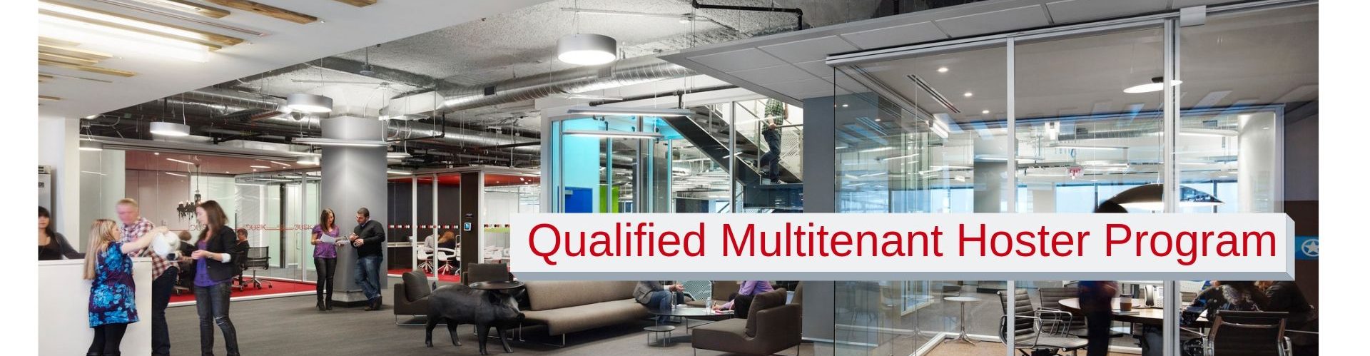 Qualified Multitenant Hoster Program